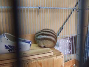 �p���������`