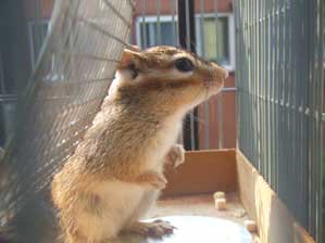 �C����������`��