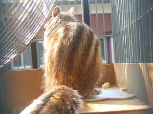 �E�t�t�t�t�I