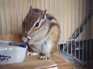 ���X�ɂ����Ă��낢��ƍl���邱�Ƃ�����̂�B