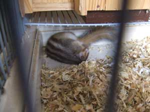 �L���`�@�p����������`