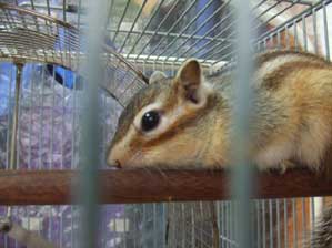 ����Ȃ��ƌ������