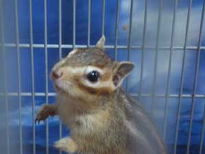 �W�����v�����`�@�����ƌ��Ă��ĂˁI