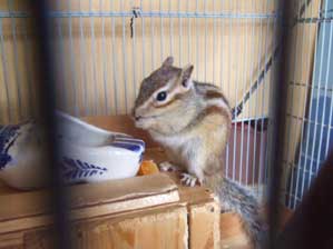 �E�Q�`�@�����̂��₾��`