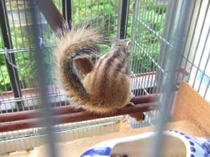 �C���������`