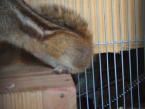 �тɕ����Ă��邩��킩��Ȃ��ł���I�ł��A�܂�������ƒɂ��̂�I