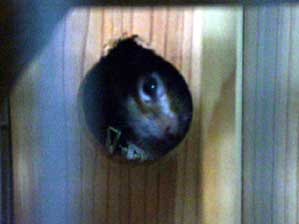 �������H