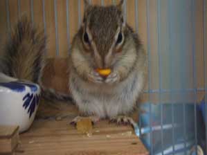 �܂��܂����ȁB