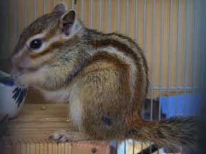 ���v����`