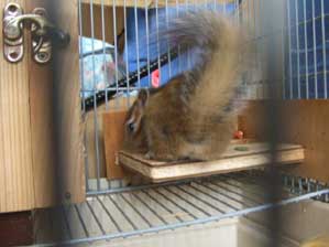 �����ƌ��ā`�`�I