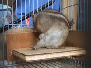 �X�}�[�g�ł���I�@�|�b�R����������Ȃ���I