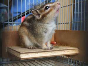 ���`�@�_�l�@���̐l���ǂ��ɂ����Ă��������I