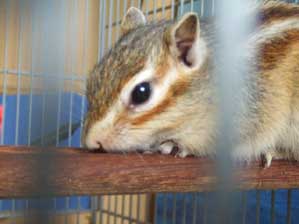 �����Ă����Ƃ����ȁ`