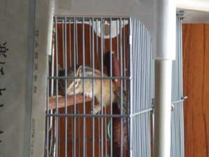 ������`�@�����ȁ`���������Ȃɍs���Ȃ�āI�@�A��čs���Ă�`