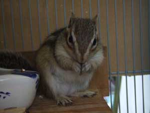 �W���W������ˁ`