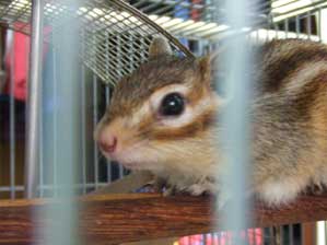 �W�[�[�[�[�[�ƃK�}���̎q�ł������I