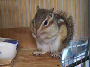 �������Ɠn���΂����񂾂�I