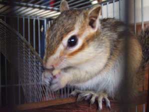 ���ŗV�΂Ȃ��Ł`��`