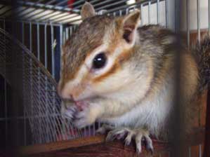 �N���������Ă����ɂ킩���I