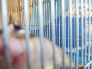 �A�n�n�n�n�[