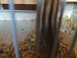 ���̑����ɂ��ė��Ȃ����I