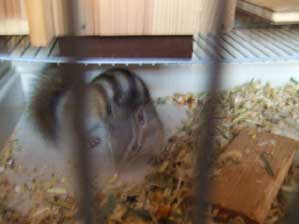 �V���p�@�V���p�@�V���p�I