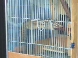 �q�G�`�@�������̕����R�O�x�����Ă���񂶂�Ȃ��̂��ȁ`�@�����G�A�R�����`�`