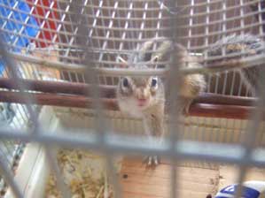 ���������́H