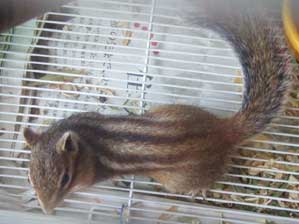 �܂��@�����P�[�W�Ɉڂ��ꂽ�I