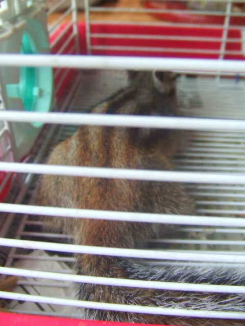 ��������Ɓ@�������̂�ˁ`