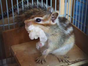 �������Ɓ@�������Ɓ@�����Ȃ��ƁI