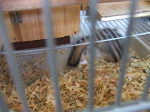 �₾�@�₾�@�₾�@�₾�I