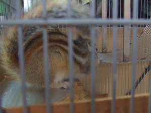 ����ς�@�H�ׂ�Ȃ����`�I