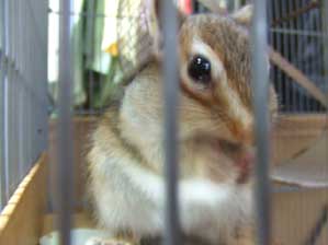 ����������I�@����������I