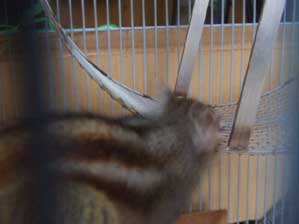 ������������@�������͐H�ׂ�邩���H