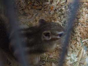 ���͒��߂Ȃ��I