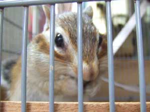 ���v����I