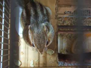 �ォ��Ȃ炢����I