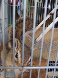 �`���E�_�C�I