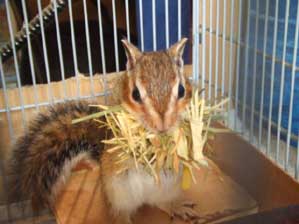 �����@���łɐQ��Ƃ��낪����܂����`�_�I