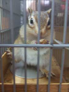 �G�w�w�w�w�`�@��������������ˁ`