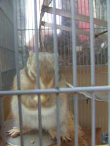 �t�t�t�t�t�@����́@�q�@�E�@�~�@�E�@�c�@�I