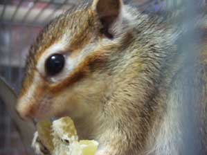 �|�����`