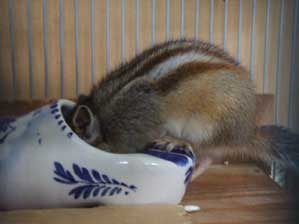 �킩��΂����̂�