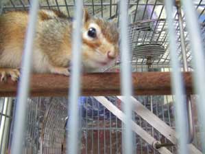 ���ӁI�@���ӁI