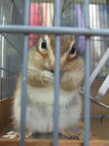 ���a����`�`���ā@�v���Ă����̂�B