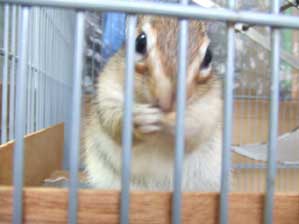 �͂��I�@�オ���Ă��܂�����