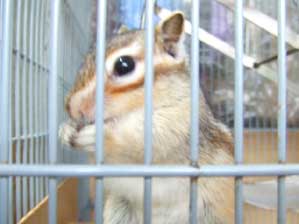 �͂��I�@����������ɂȂ�܂���