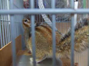 �t���t���I