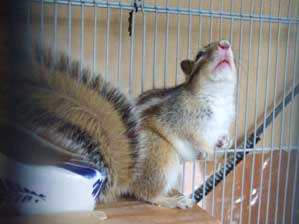 ������[�@���ĂȂ��[��